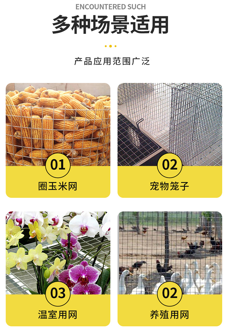 鍍鋅電焊網(wǎng)(圖11)